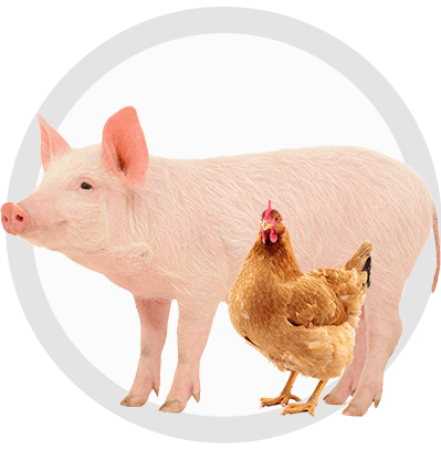 康那生物技术(山东)有限公司