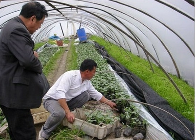淄博塑料厂
