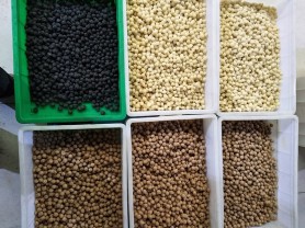 鑫良友食品有限公司