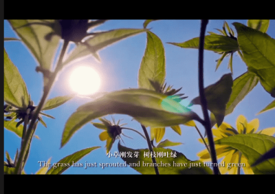 天津天源文化传媒有限公司