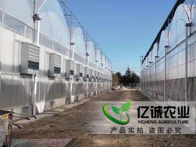 溫室大棚建設