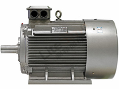 西安西玛电机集团股份有限公司