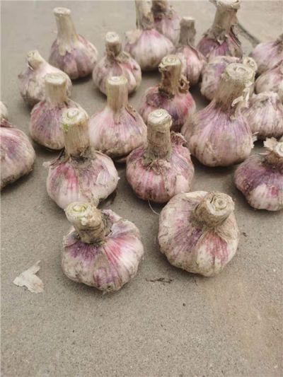 金乡县农副产品有限公司