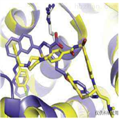 上海谷研实业有限公司