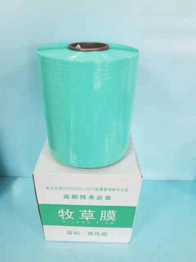 天津市东洋工贸发展有限公司