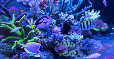 中山市华垚电器科技有限公司