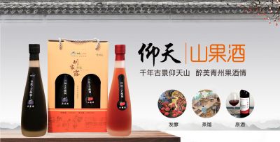 青州市仰天山果酒有限公司