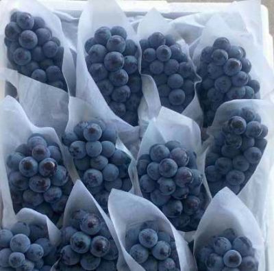 云南建水恒达葡萄包装箱厂