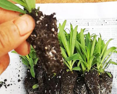 云南汇通银河科技开发有限公司