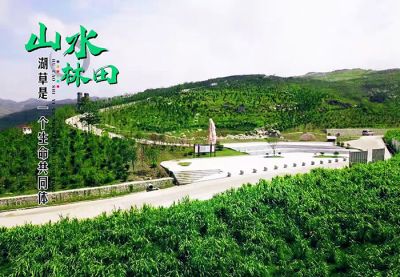 西施生态科技股份有限公司