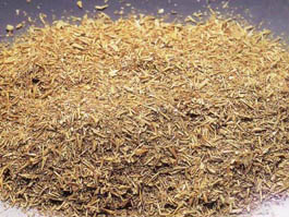 德州锦鹏商贸有限公司