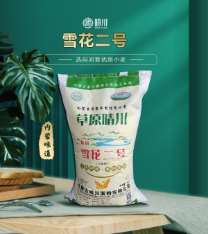 内蒙古晴川面粉有限公司