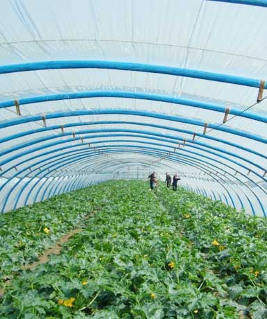 江苏智信塑胶科技有限公司