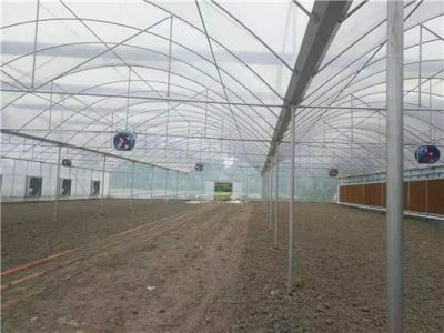 四川省忆田园农业科技有限公司