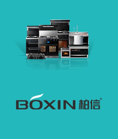 浙江绍兴市柏信电器有限公司
