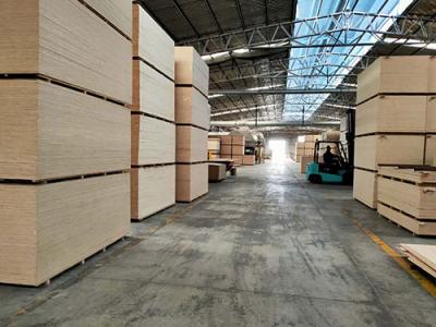 山东江森木业有限公司