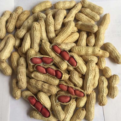 南阳市五色田食品科技有限公司