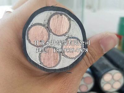 甘肃永升线缆有限公司