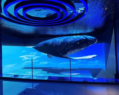 山西奥拓科技有限公司