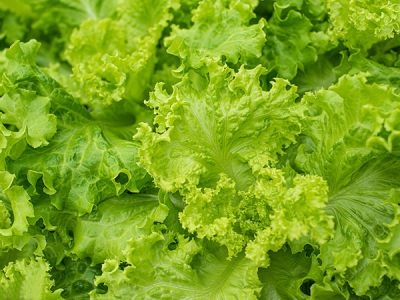 兰州同创食品集团有限公司