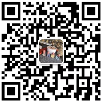 保定弯管加工厂