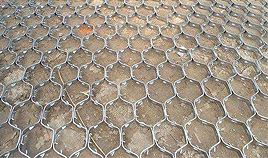 叶士鸿龟甲网厂