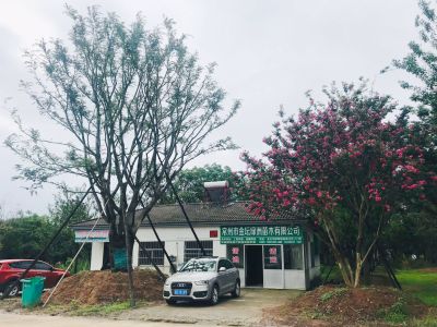 常州市金坛绿洲苗木有限公司