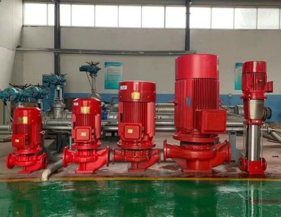 山东鲁盛泵业有限公司