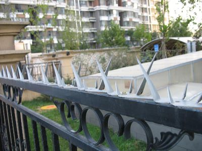 安平县英楚丝网安防产品厂