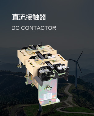 乐清市城新电器有限公司