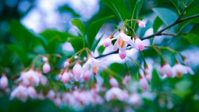 荣成市东林农业科技发展有限公司