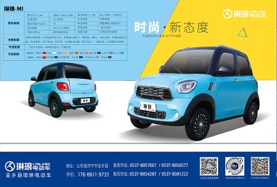 山东琳琅电动车股份有限公司