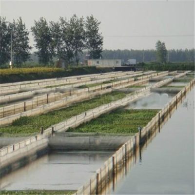 安平县舜天丝网制品有限公司
