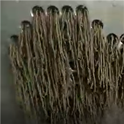 常州市彬达干燥制粒设备有限公司