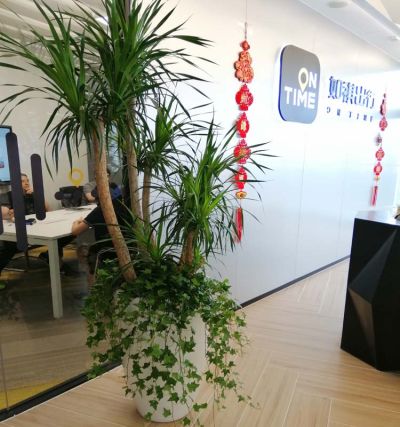 广州绿植园林绿化工程有限公司