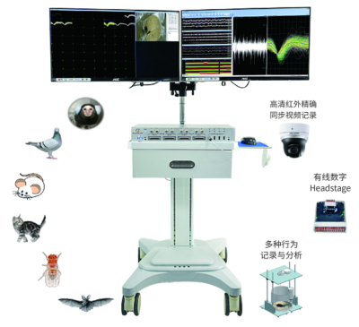 江苏博恩医疗科技有限公司