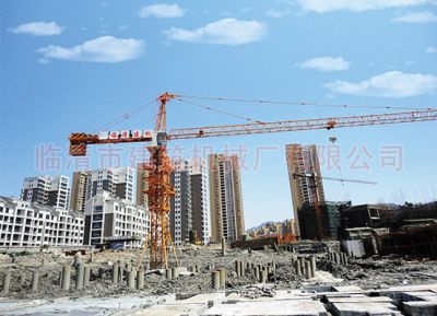 临清市建筑机械厂有限公司