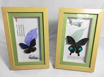 新乡市禾力教学设备有限公司