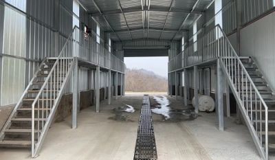 青岛鼎弘农牧科技有限公司