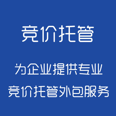 蚌埠宇霄网络科技有限公司