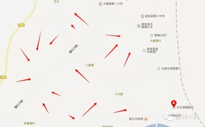 云南花木苗木斗南呈贡宜良苗圃基地批发市场