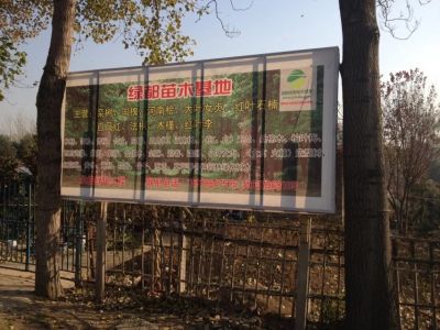 位于河南洛阳市安乐新村花卉市场