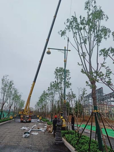 山东祥发照明电器有限公司