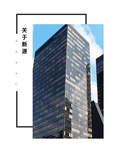 河南新源汽车销售有限公司