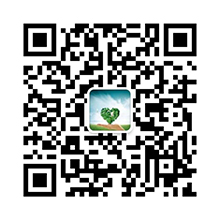 上海琛艺实业有限公司