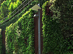 青州市好全花卉苗木种植专业合作社