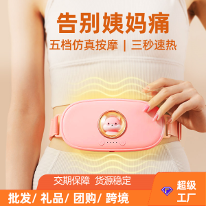 深圳市晚成辉电子有限公司