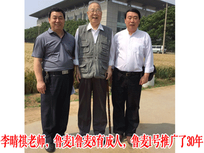 泰安登海五岳泰山种业有限公司