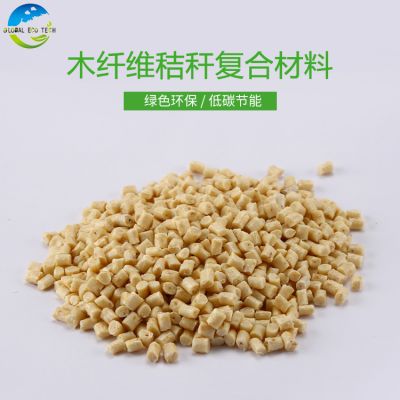 东莞全球环保科技有限公司