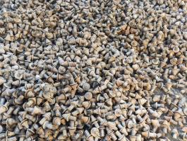 我公司可以派工作人员到工厂